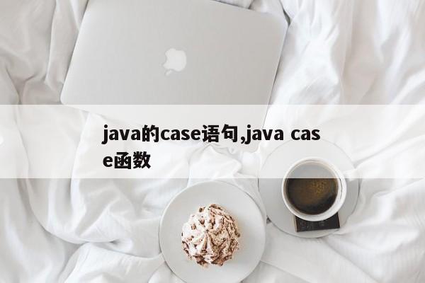 java的case语句,java case函数